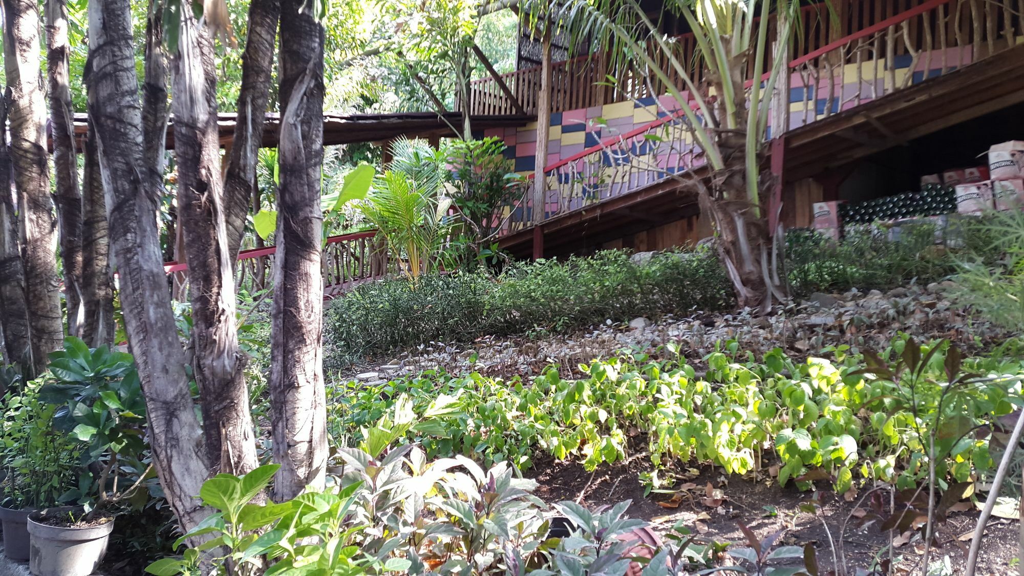 Centro Bajo Hotel & Resto Labuan Bajo Exterior foto